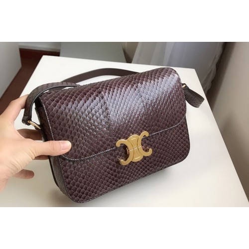 Celine medium triomphe bag in brown watersnake Leather