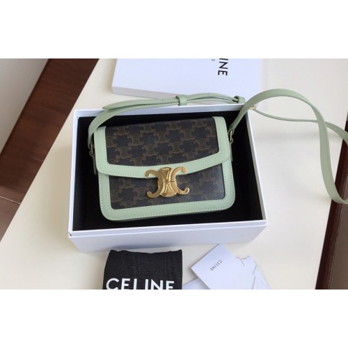 Celine Teen Triomphe Bag in Triomphe Canvas and Calfskin Green