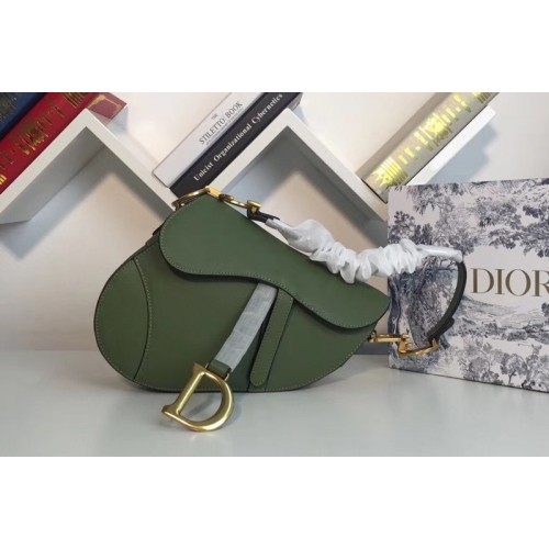 Dior M0446 Saddle bag in Green embossed Grained calfskin Leather