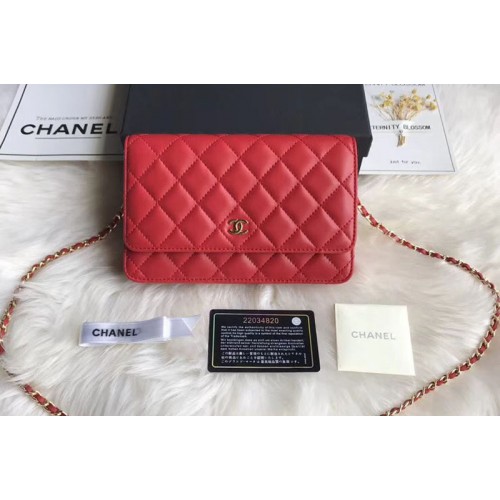 Chanel WOC Original Sheepskin Leather Flap Cross-body bags CF33814 Red Gold Chain Chanel WOC Original Sheepskin Leather Flap Cross-body bags CF33814 Red Gold Chain