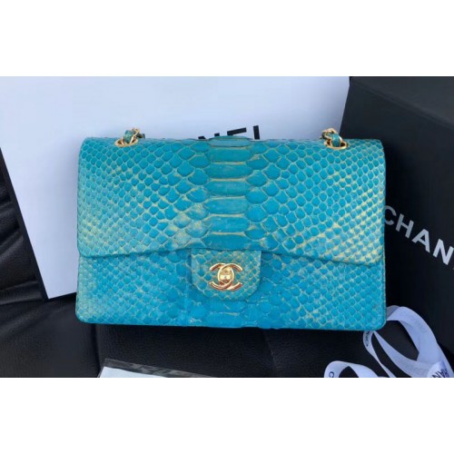 Chanel Original Python Leather Shoulder Bags CF1112 Green