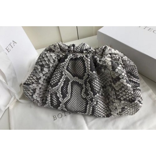 Bottega Veneta Pouch in Silver Python Leather