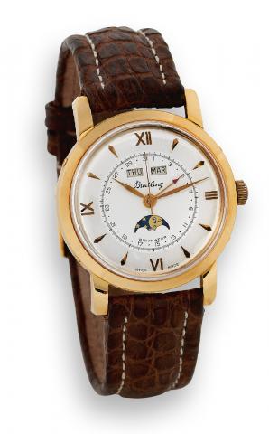 Bidynator.Breitling, Gen