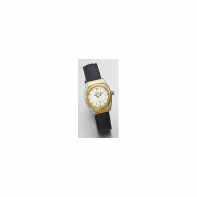 A GOLD AND STAINLESS STEEL AUTOMATIC HOODED WRISTWATCH, ROLEX, OYSTER PERPETUAL, REF. 3064, CIRCA 1940